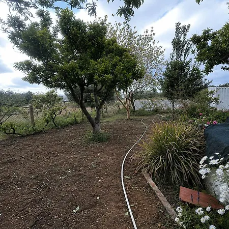 Ferienhaus Moradia Do Estevao E Silvina - Cacela Vila Nova de Cacela